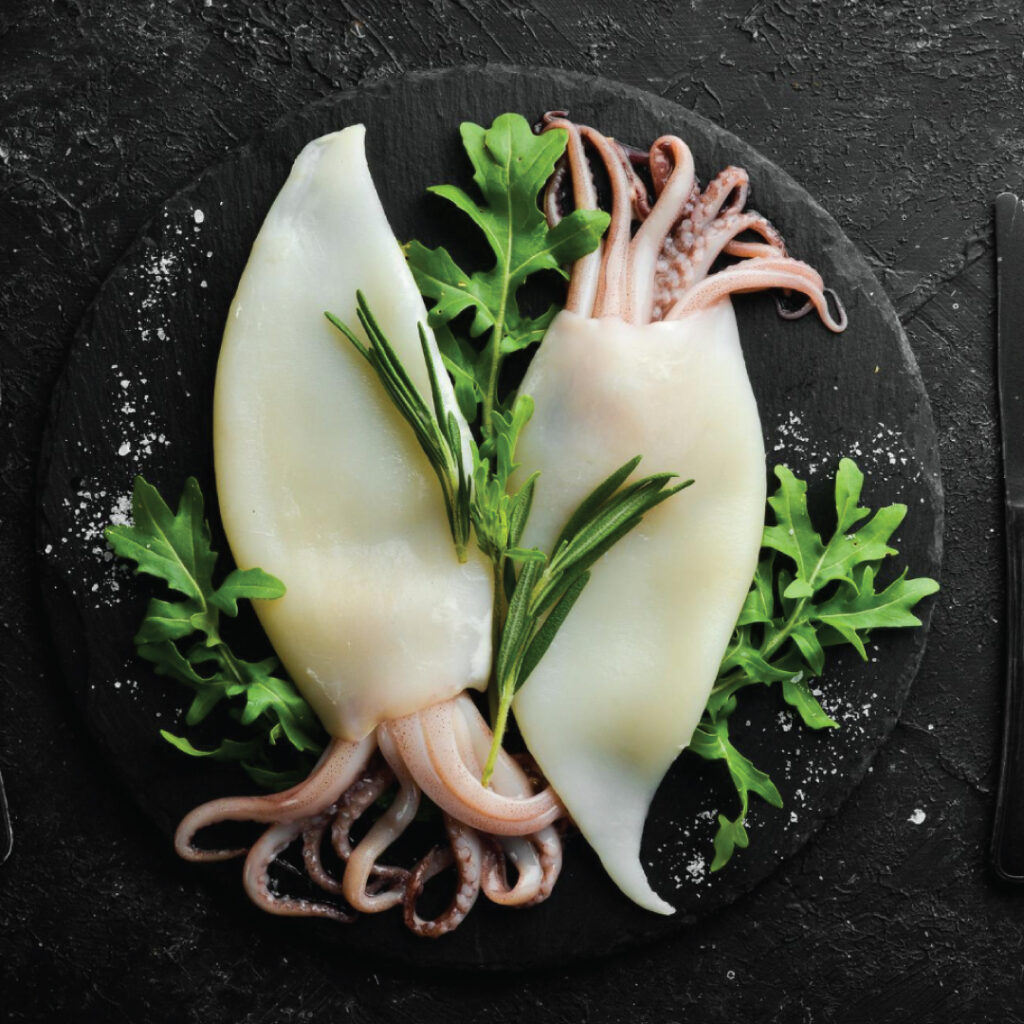 squid